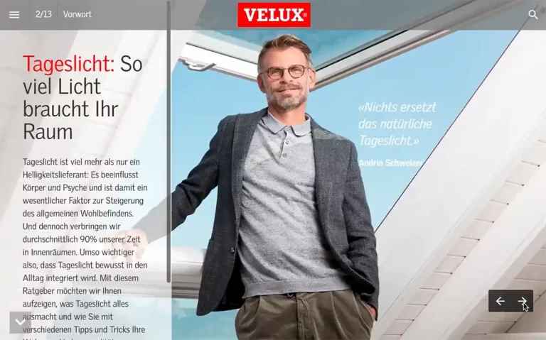 VELUX | Online-Kampagne