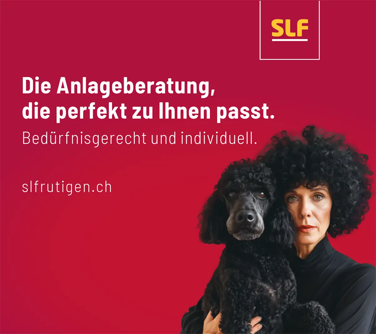 agentur01bern-slf-anlage2
